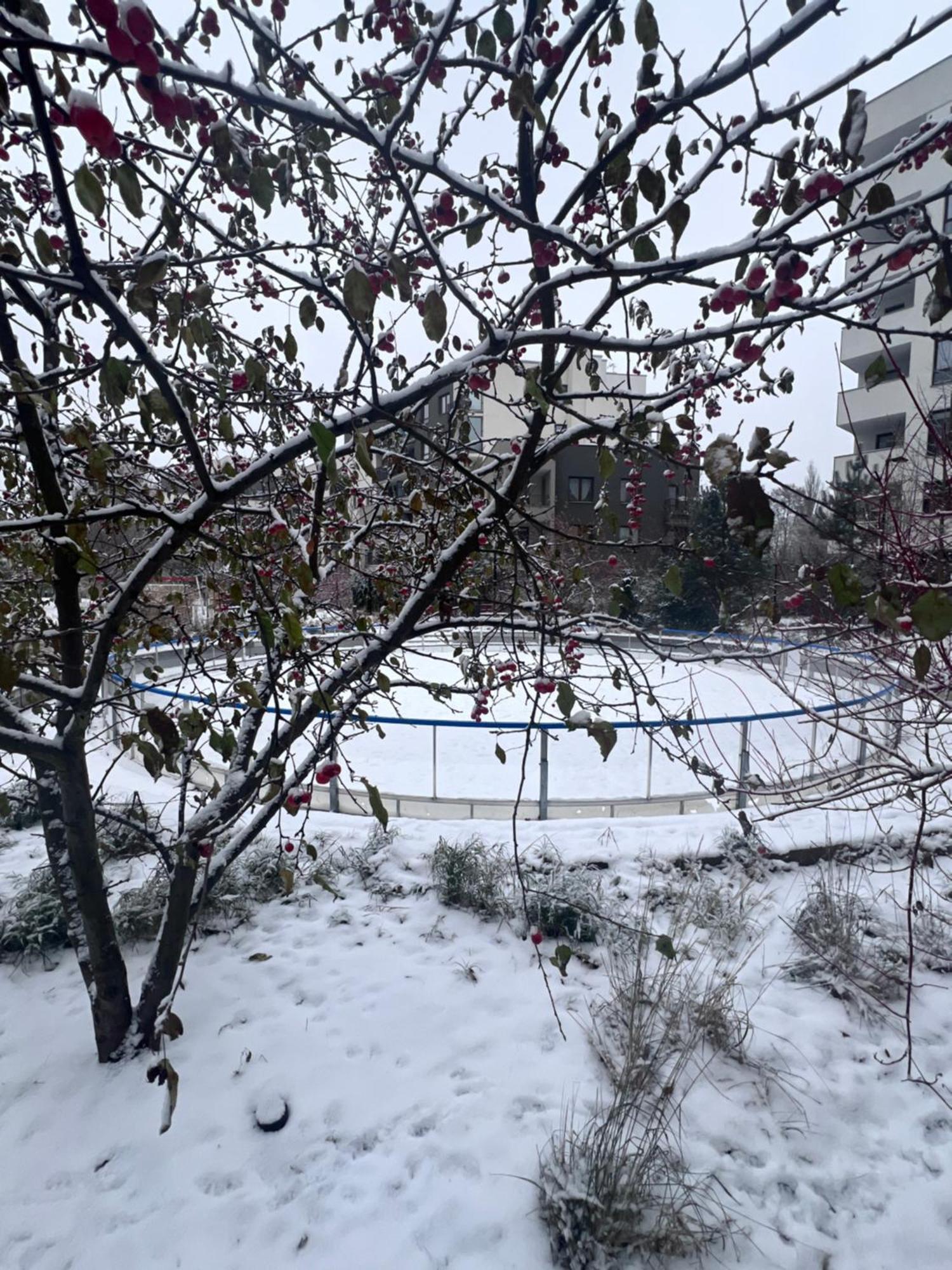Ferienwohnung Lake Park Apartament With Free Parking Airport Netflix Warschau Exterior foto